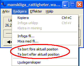 Konvertera till mp3